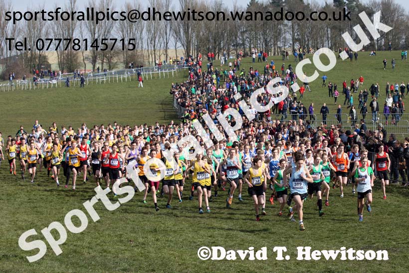 Boys under-13s 2016 Inter Counties Cross Country Champs. and Cross Challenge Final, Cofton Park, Birmingham. Photo: David T. Hewitson/Sports for All Pics